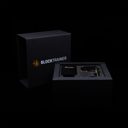 Bitaxe 602 Gamma BT Edition