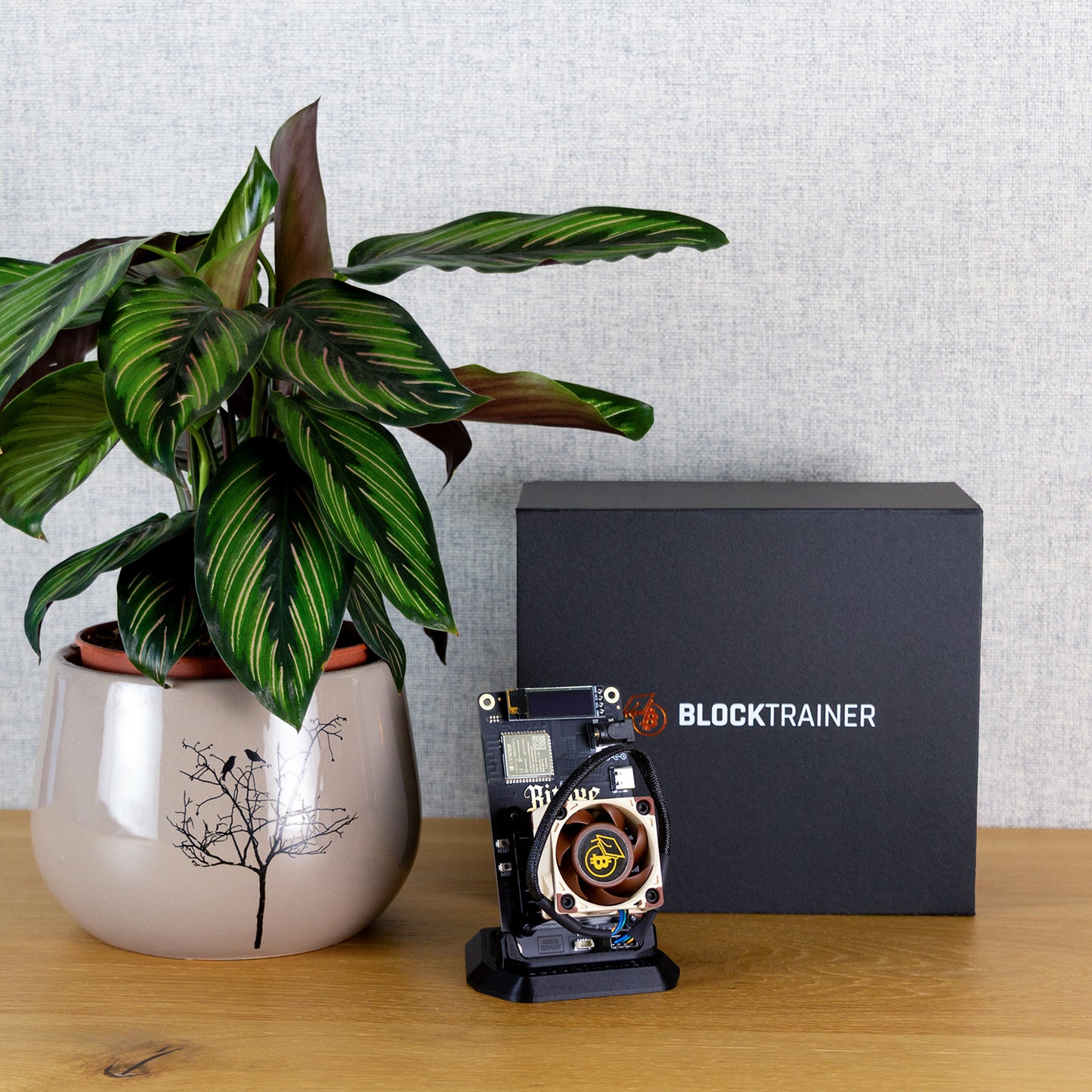 Bitaxe 602 Gamma BT Edition mit Noctua